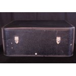 Ludwig Protege Case