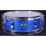 Ludwig Pioneer