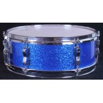 Ludwig Pioneer