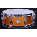 Ludwig Standard