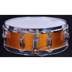 Ludwig Standard