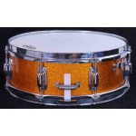 Ludwig Standard