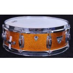 Ludwig Standard