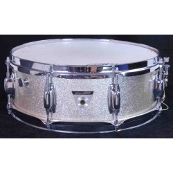 Ludwig Standard