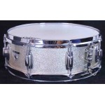 Ludwig Standard