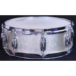 Ludwig Standard