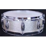 Ludwig Standard