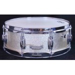 Ludwig Standard