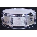 Ludwig Standard