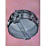 Rogers Dynasonic - 5 Line