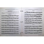 Vibracussion - Home Study Course 12 Lessons