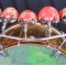 Leedy Circular Trap Rail w/ blocks